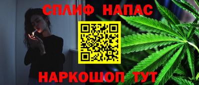 гидра Заволжье