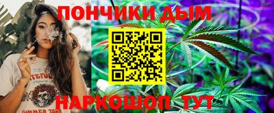 мдпв Жуковский