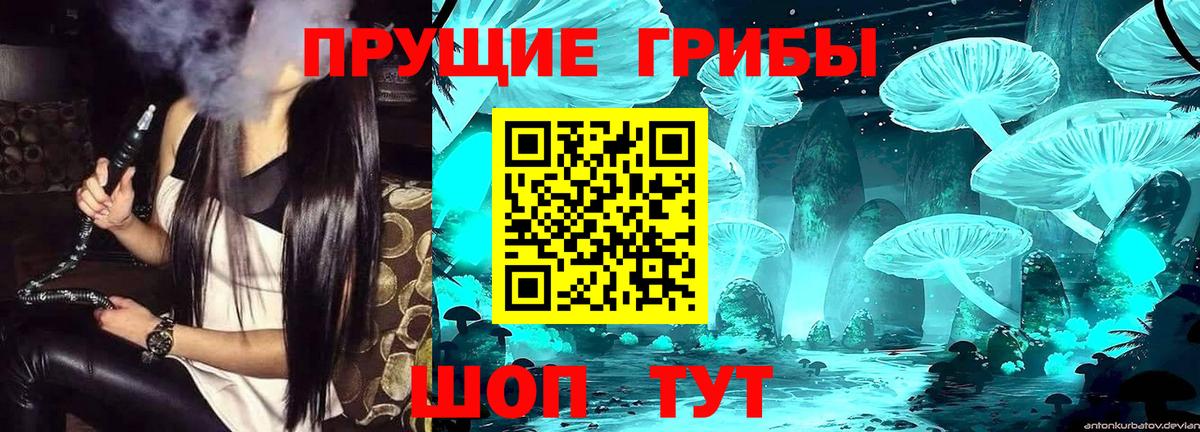 Галлюциногенные грибы мухоморы Малгобек