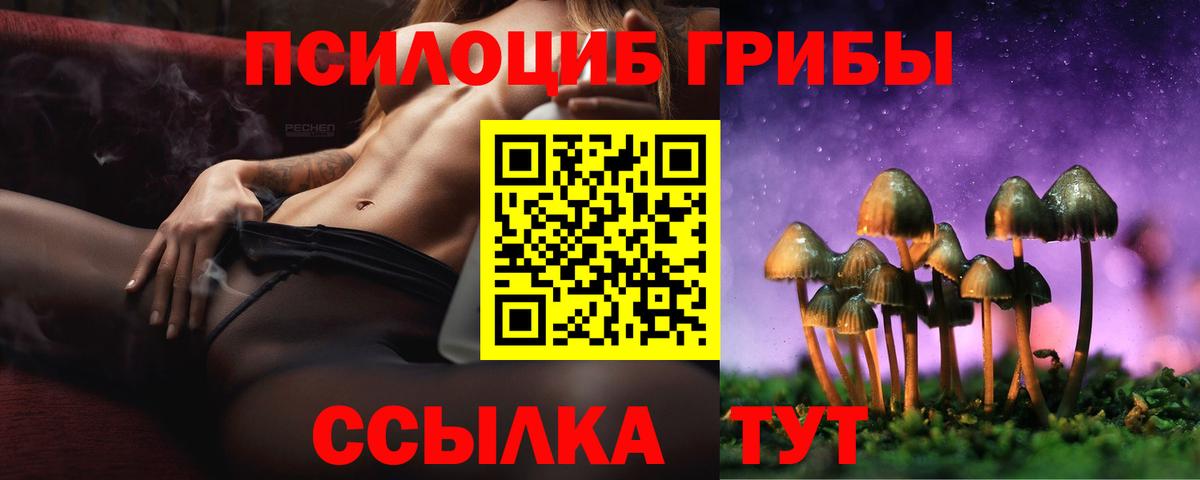 Малгобек  Псилоцибиновые грибы Cubensis  где купить наркоту  Вход с VPN 